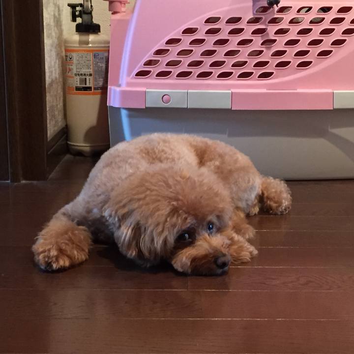 58046ed0 3a0a 42bb 8067 42b1284bee54