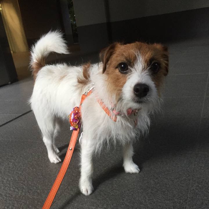 5804b379 9693 480c 811c 7c290ce4cf1e