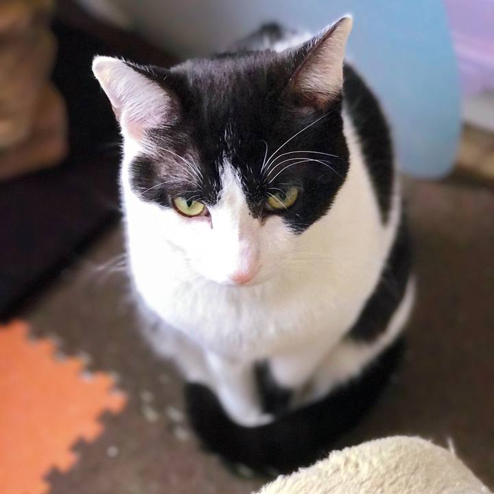 58057263 2f12 4532 8e98 34e8d454f711