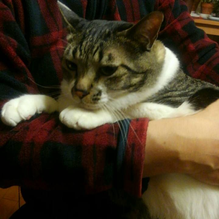 5805fe53 ffa7 4469 a55c 4f6540b88997