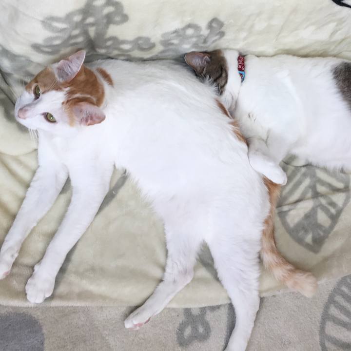 580681d8 31a3 4936 bd6d fded255e718d