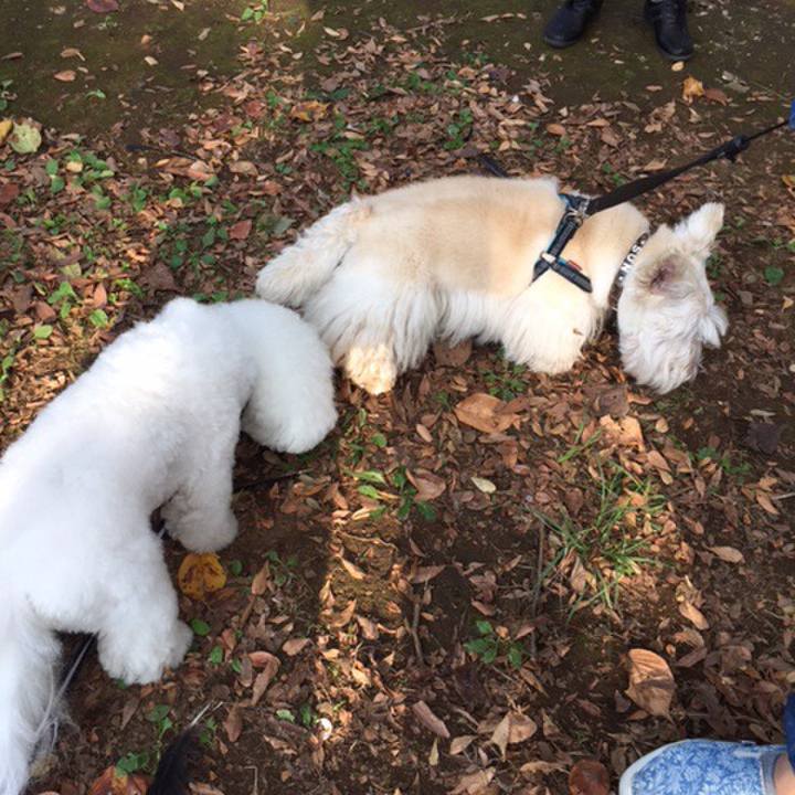 5806a8c1 3854 452e 9c3f b20417df525b