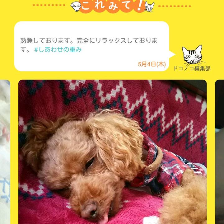 58071847 561b 4d44 9392 0bf259c4b4ab