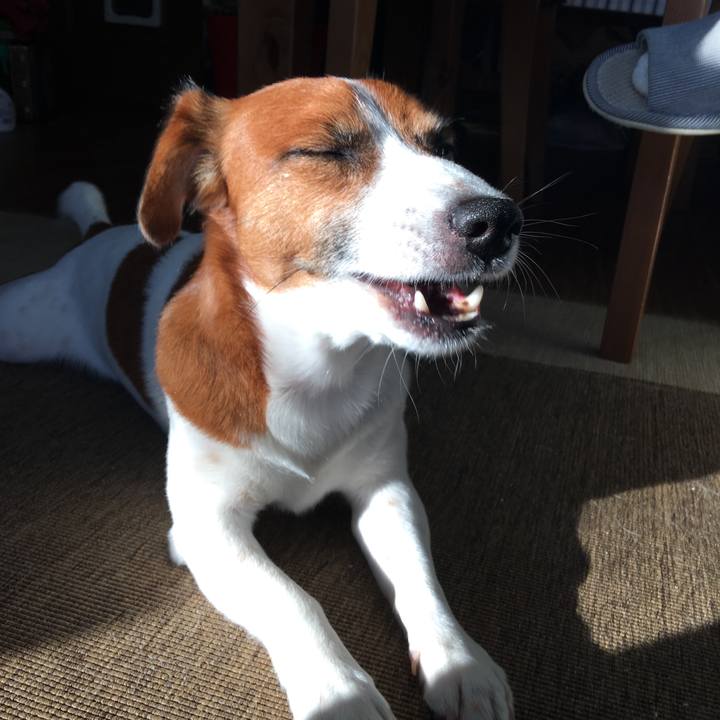 58072591 ff82 41b1 80ca 39f5084a23e8