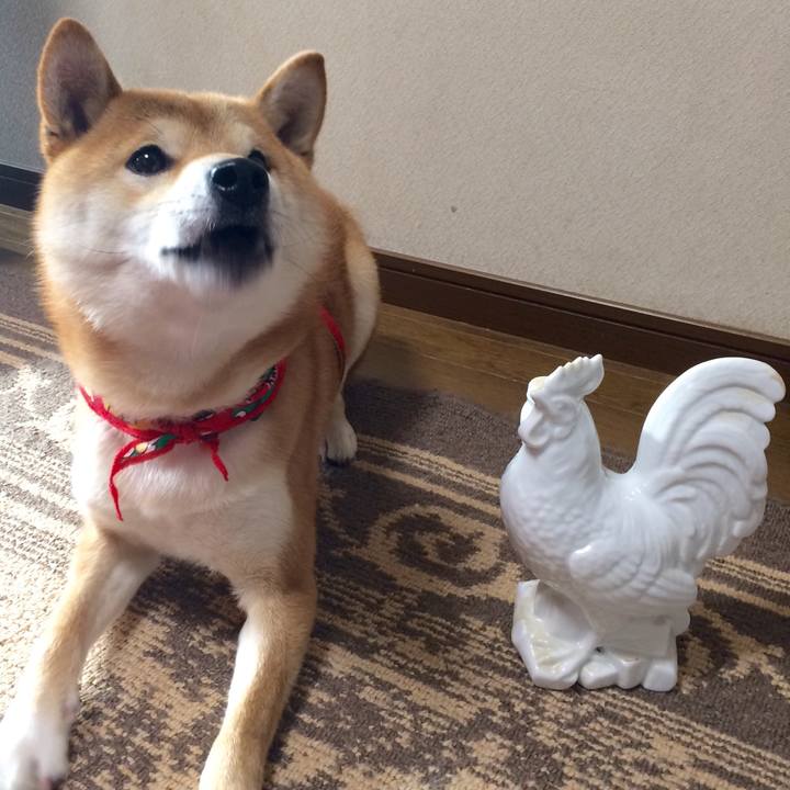 58072a64 7337 4814 9363 f6b1bcd81edd