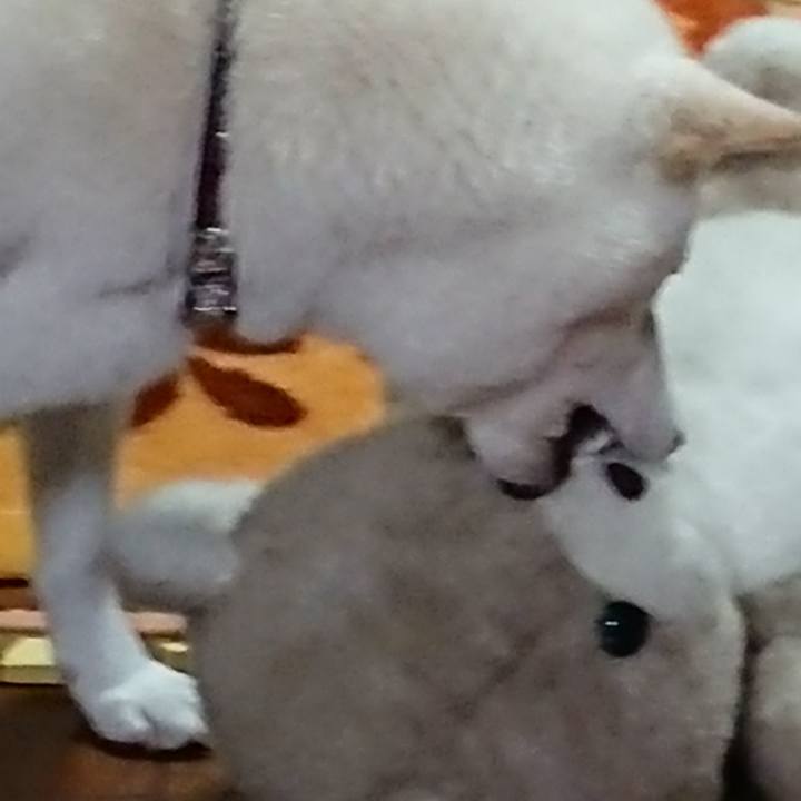 5808579c 01b2 49e3 be4c bc2dee56f13b