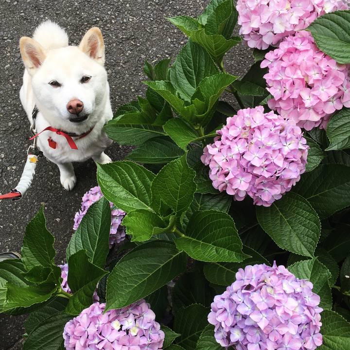 580993d5 33c6 417d 91b0 d8d80299d363