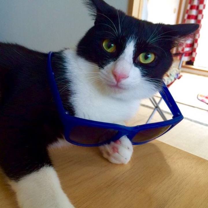 5809d8f4 01f4 47a0 9040 6abce4ee6669