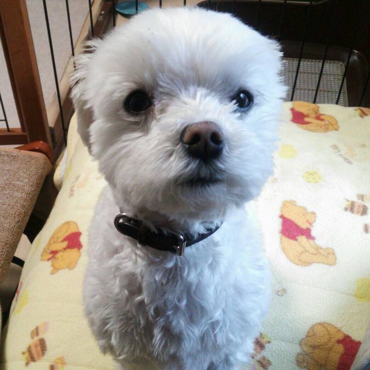 580aa2e4 4f45 40a8 a678 f81bce056891