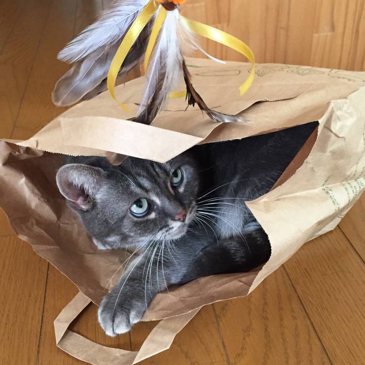 580bb8c7 8c1f 47ec 9e09 c9ca3a2ef38b