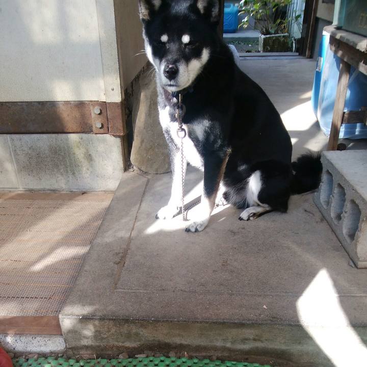 580c2fe4 8e80 4674 9de8 bd585d5e66f5