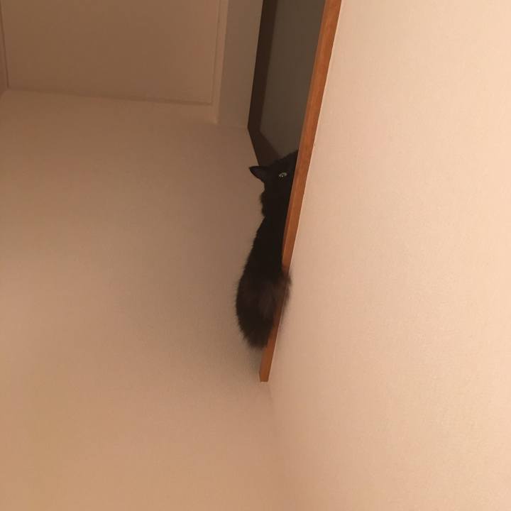 580c5222 ead8 4fa4 999e 87a0083e6a30