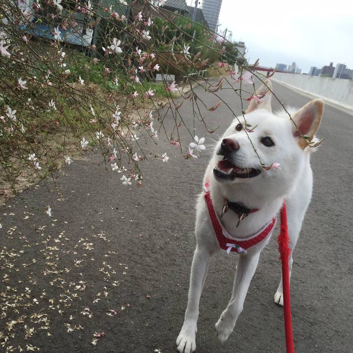 580c5369 1c97 4cac bae6 26d8a8e58363