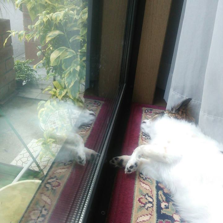 580d12df 46c6 4f5e b1c6 15520aa34c32