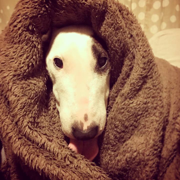 580d38f7 bd06 45b8 af36 30fe1d6e086f