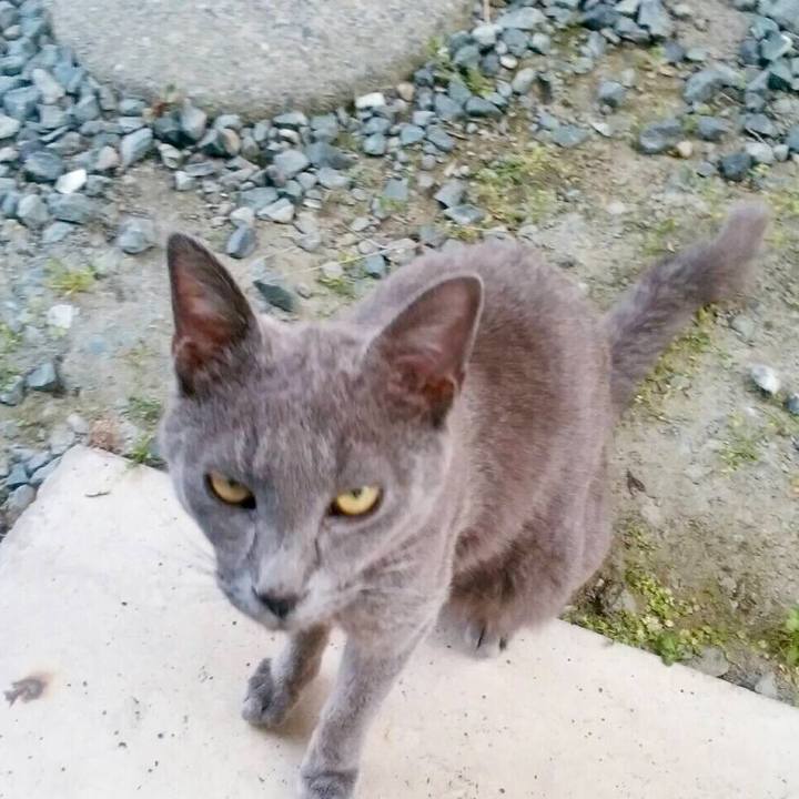 580e2309 5976 47fd 84b5 08a093e16328