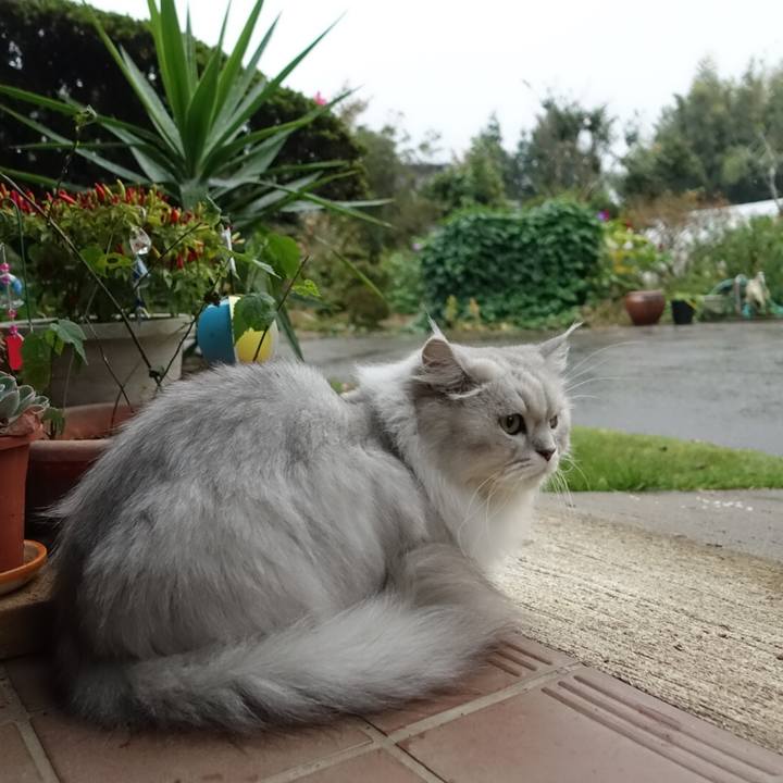 580e2cb3 63da 45ba 9e65 0cf73c86ed49