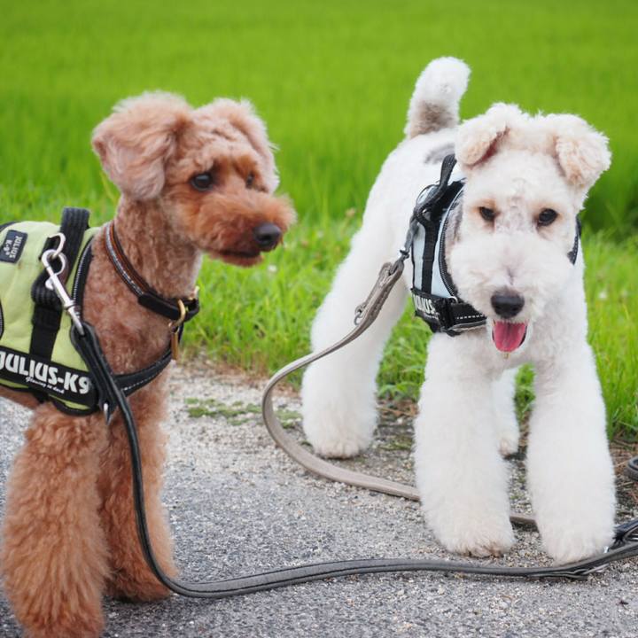 580e9e34 294c 4b2d 8b1b 4a33c8967537