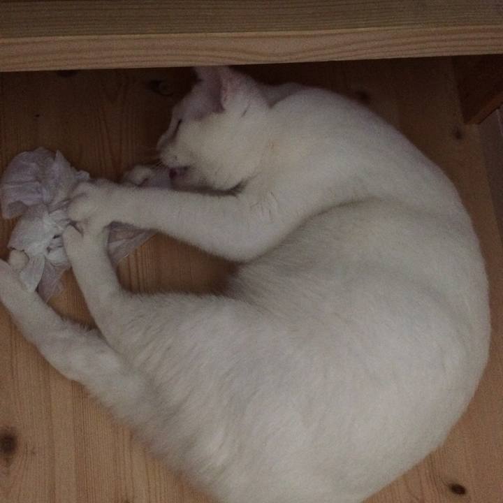 580f420b 57d3 4975 9f2d 55436b1da7ea