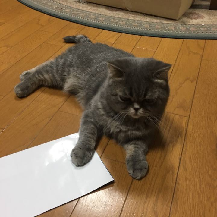 580f928d 14d7 48ca 80c4 741bda9332b8