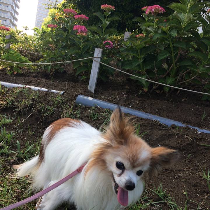 580fee60 be9b 486b afac 2b1d3183188c