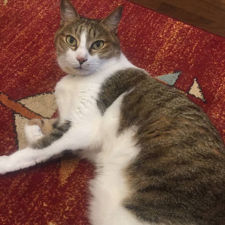 5810b2b1 ce7b 47d3 ba3c d968a803f169