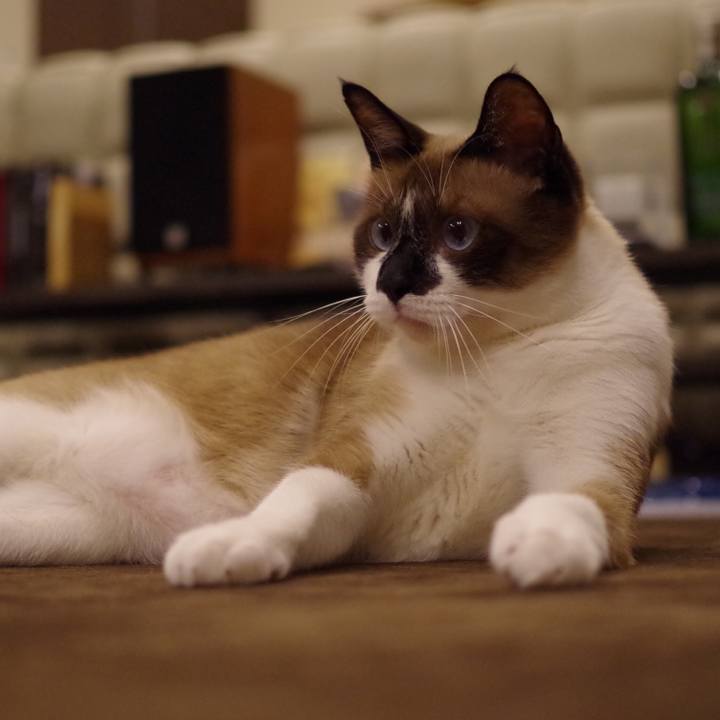 58111e20 c33f 4619 b9e2 8ea705ceca19