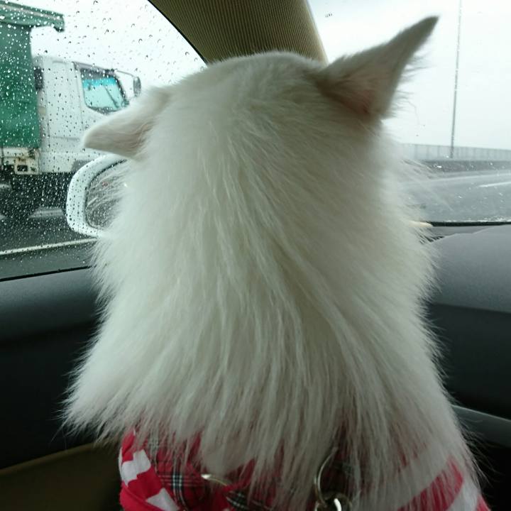 581198a4 86bf 4b75 8432 20609753a33b