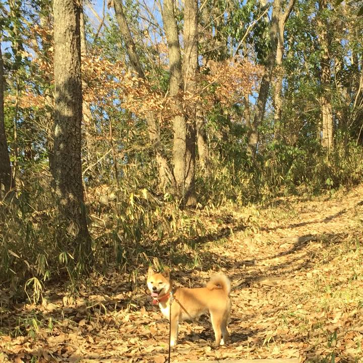 5811dcd7 fa71 4f3c 9515 bc398d11f3f1