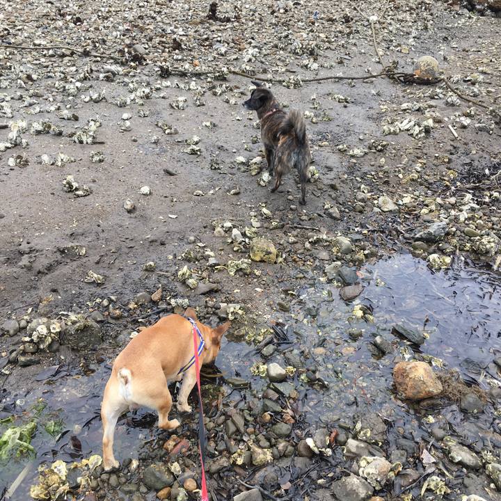 58125b78 69e6 483f ae61 dd7613be4960