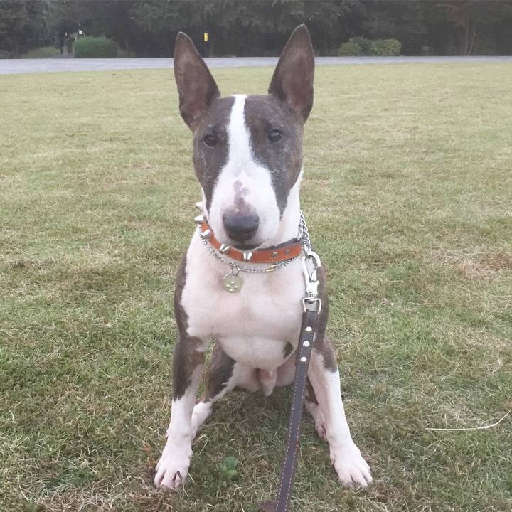 58125da0 d7e5 4b43 9d82 fd7b73c6493a