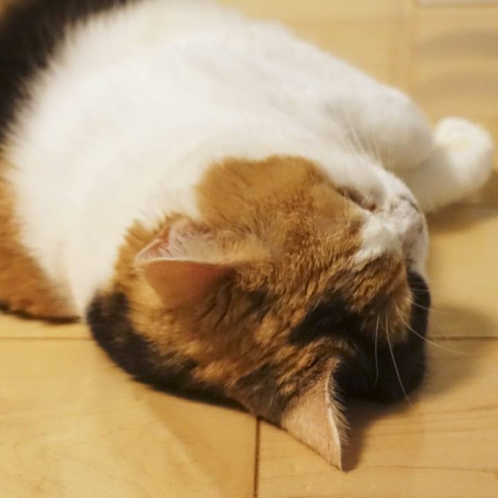 5812d62c 2468 4c43 a228 b21ab0384966