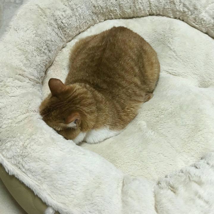 5812f443 6c60 4188 96e8 91fffd32a68b