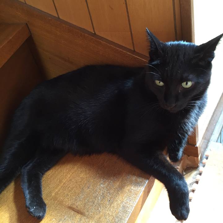 5812fac9 b6eb 4044 9f8d 49fe3b6a00b3