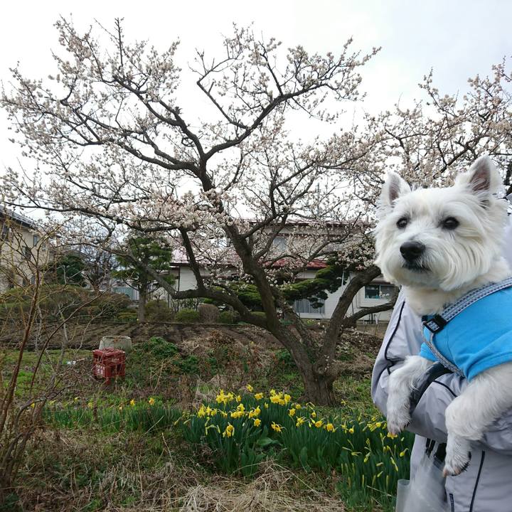 58130953 0207 4009 a93d e900e9fc8cc7