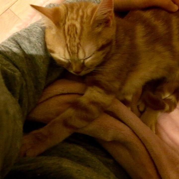 5813242c 6753 4d61 9d31 5c1891ad4bcb