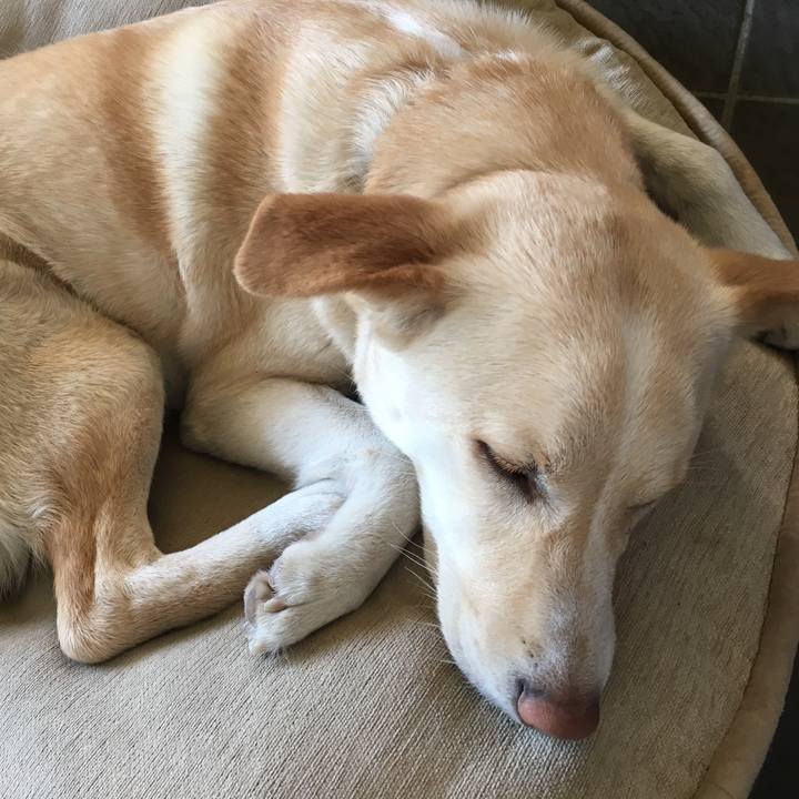 5813b74a 7b56 45db a707 7c23c11b3a30