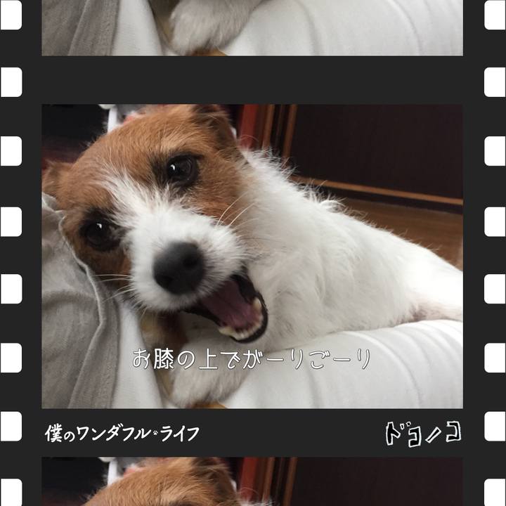 5813dad0 8c58 41cf 8358 164c1dfa9591