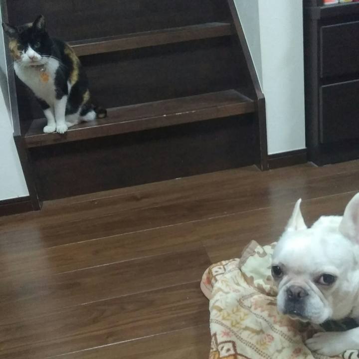 5814883e bee9 4520 b693 839515b3551a