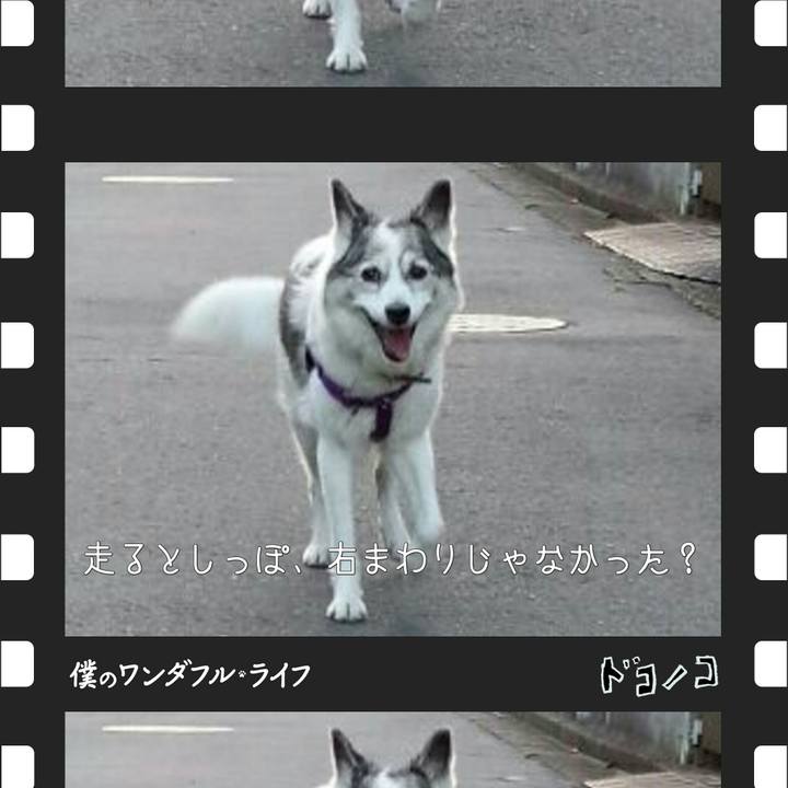 5814fb82 bc81 4459 954e eab4906a354b