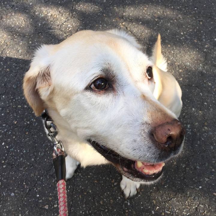 581508a3 cf4c 4646 b34f e90f2c5312bf