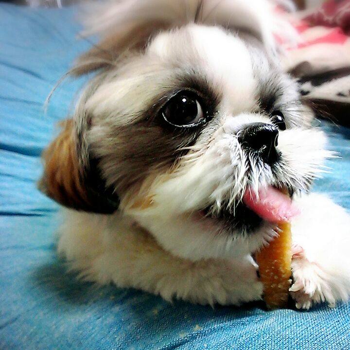 5815c466 e16b 4144 9ad8 8c2b3d1a70ff