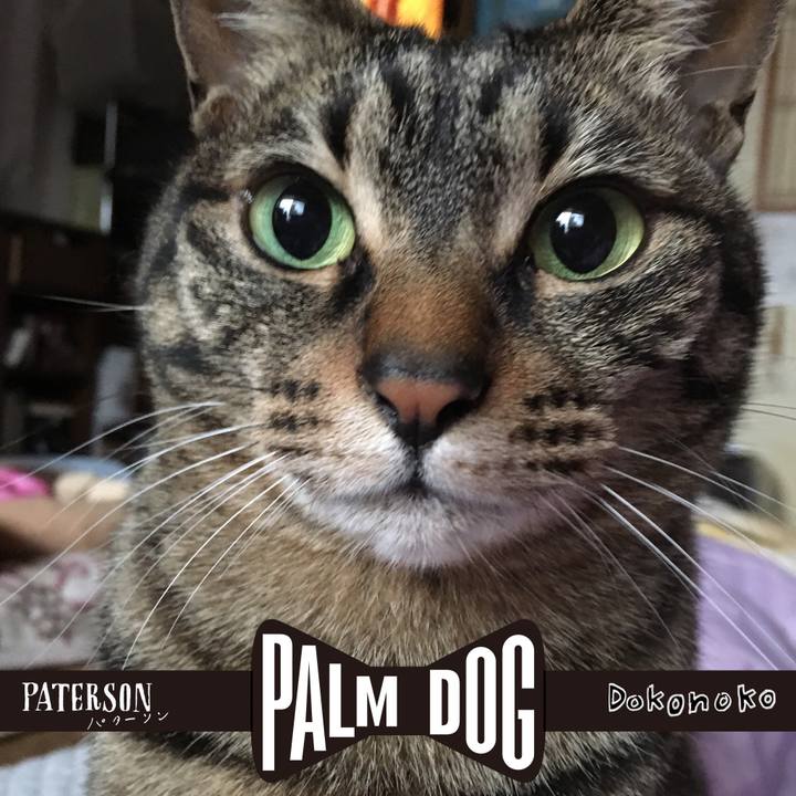 5815cf6a 21df 4b13 883b 363c1e9619a9