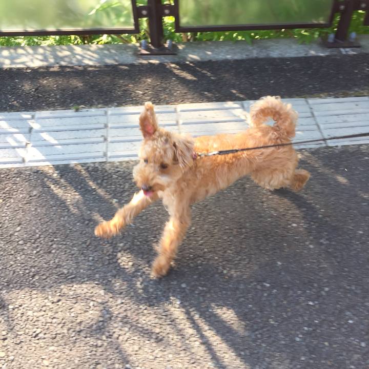 58162f45 fe70 4af9 9b7d 2c4c426e70d1