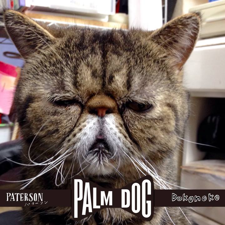 58168d6a 8fb9 4acf 817f 60fac8177a0a