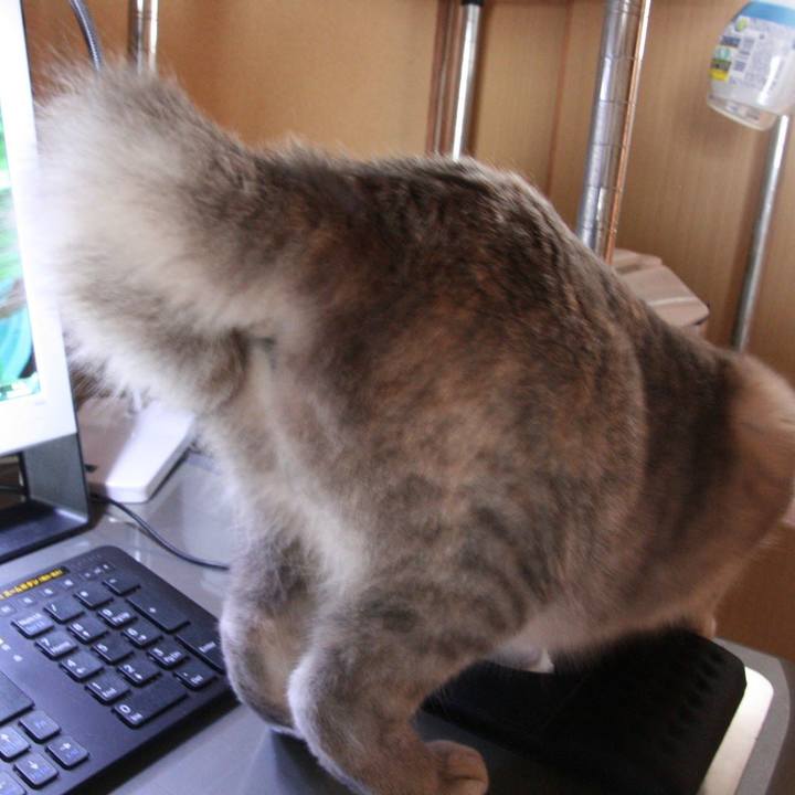 5816c16d 9167 406e a198 ddfe19835b2e