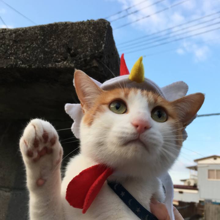 5817cab7 e410 4f3f ad50 64d1fdbcea5b