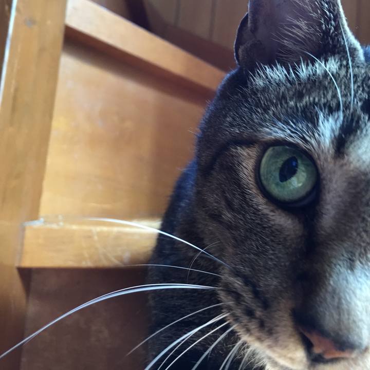 5817fbb5 58eb 40e4 8bec a5e119619940