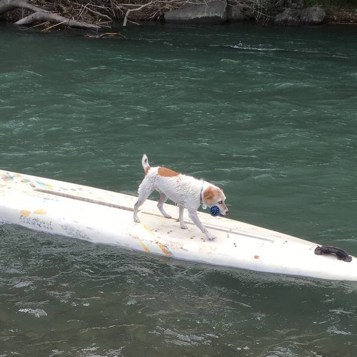 58180c03 639d 427b 89d5 af1de97008f3