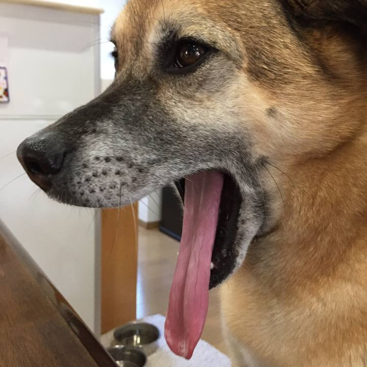 5818b1d7 87e9 4232 aec2 91450ab2ae83